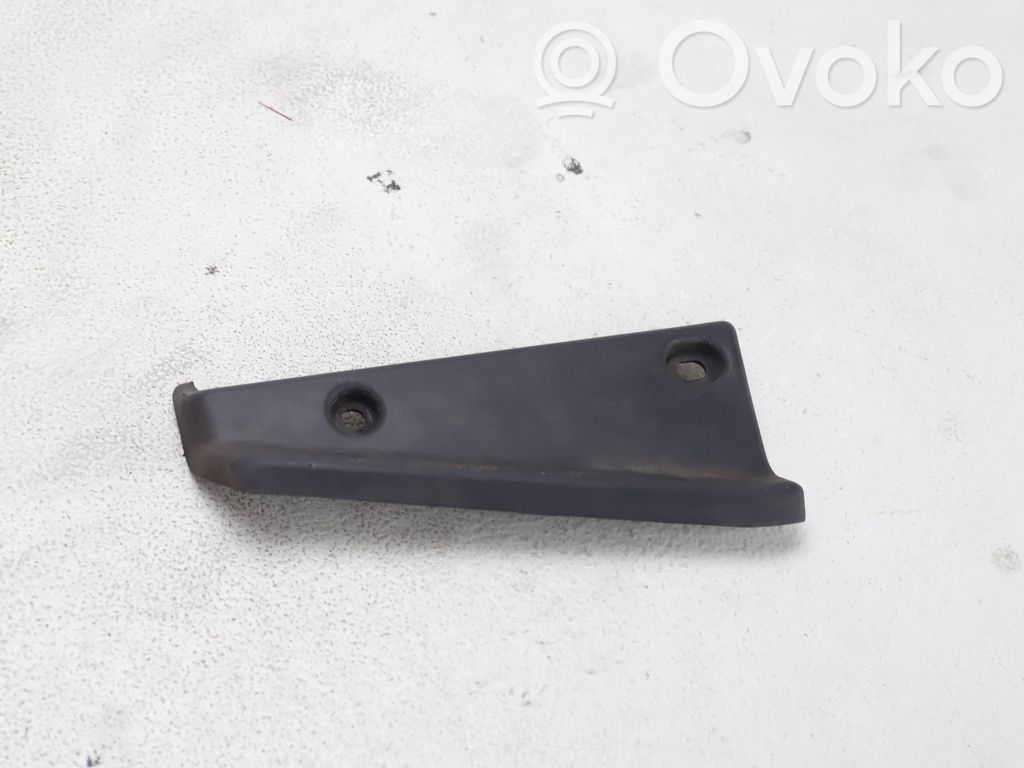 Dodge RAM 1500 DS Cita virsbūves detaļa 