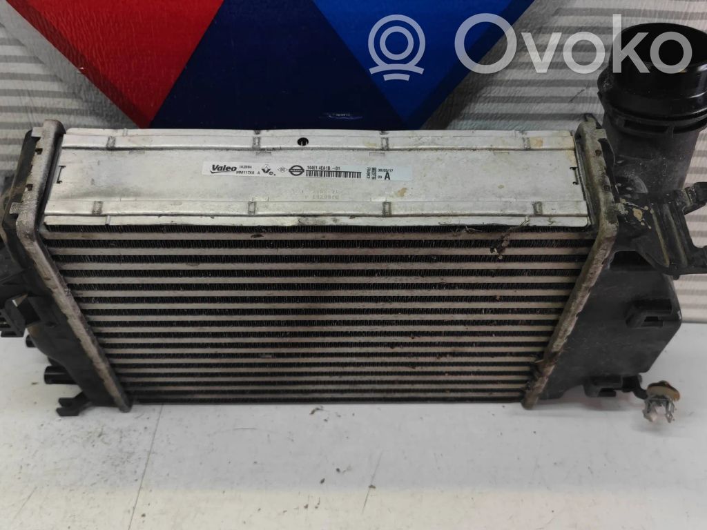 Renault Megane IV Intercooler radiator 