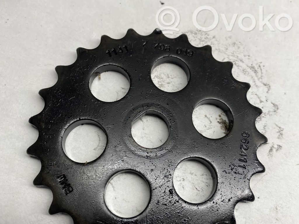 Timing chain sprocket   7798019