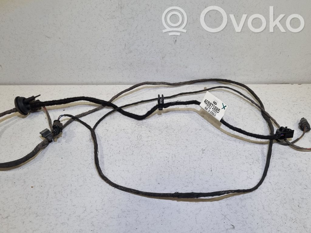 Cableado del sensor de aparcamiento (PDC)   4G5971085