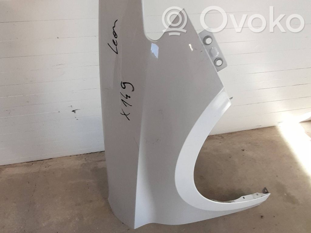 Guardabarro   5FA821116