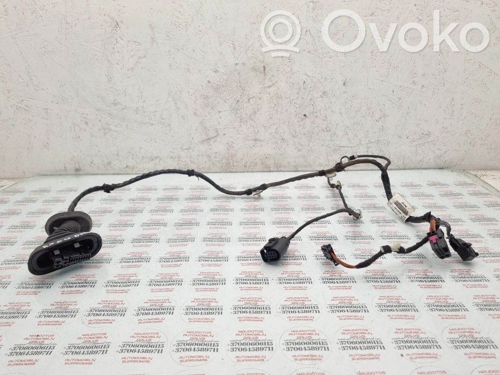 Seat Exeo (3R) Cableado de puerta trasera 