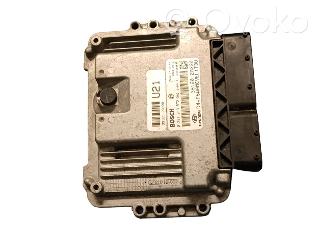 Engine control unit/module   0281019572,391202A220,391252A220