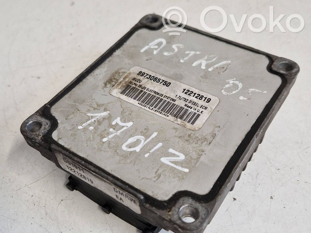 Engine control unit/module   8973065750,12212819,862819LB109501AG