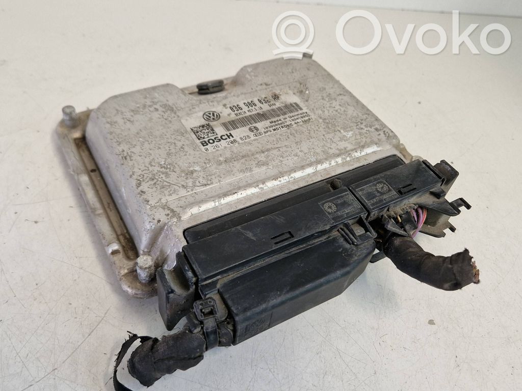 Skoda Octavia Mk2 (1Z) Engine control unit/module 