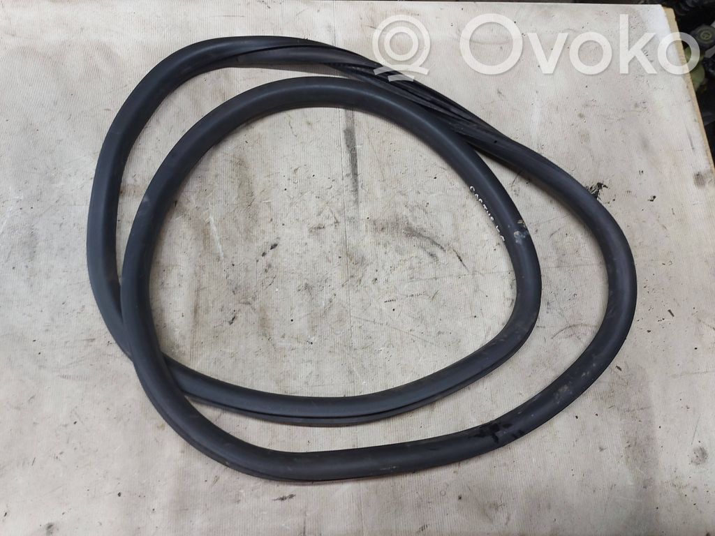 Citroen C4 Cactus Rubber seal rear door 