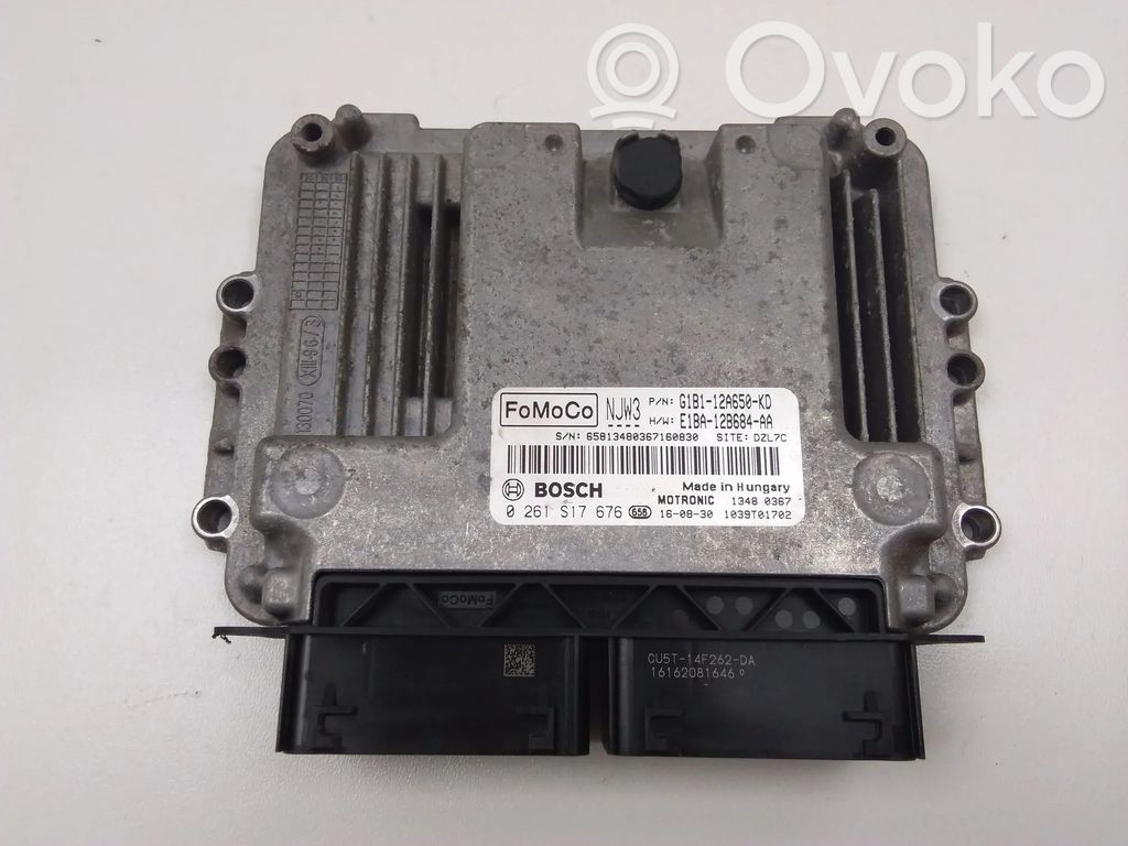 Ford Fiesta Engine control unit/module 