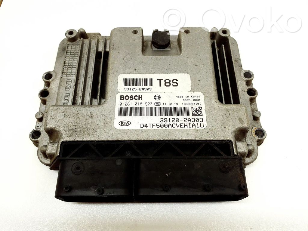 Engine control unit/module   391202A303,0281018923