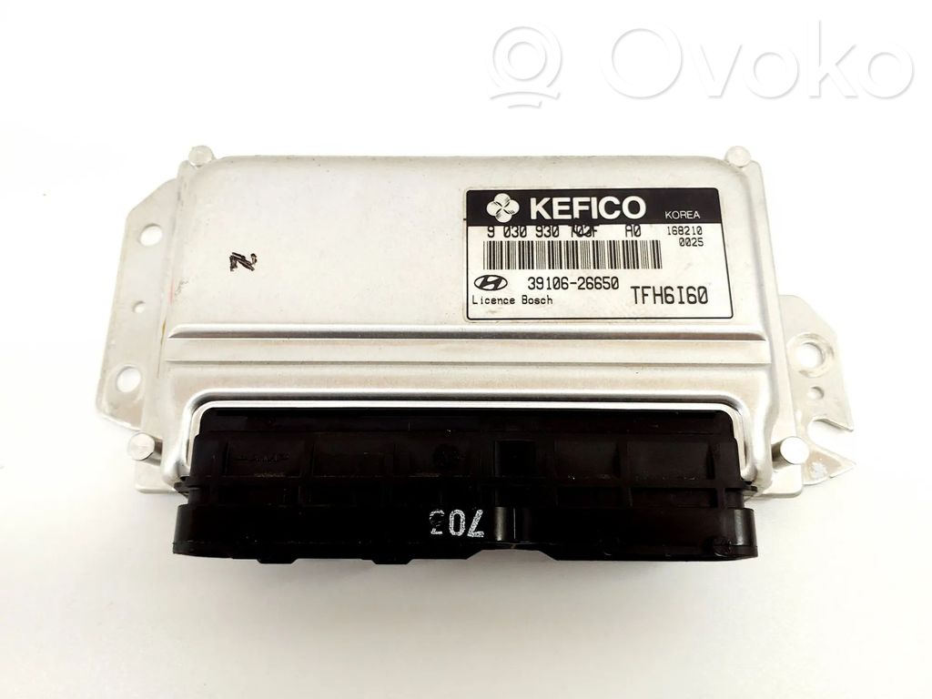 Hyundai Getz Engine control unit/module 