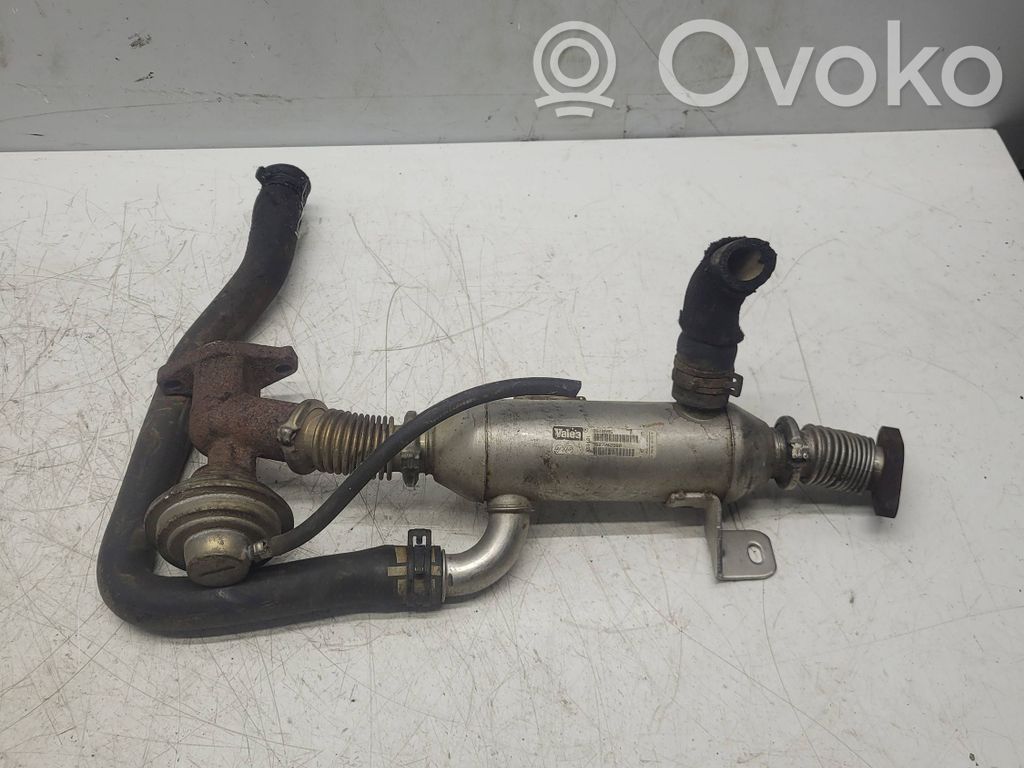 Peugeot 406 Valvola di raffreddamento EGR 