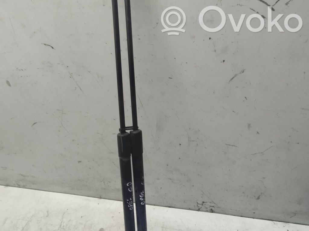Opel Corsa D Tailgate/trunk strut/damper 
