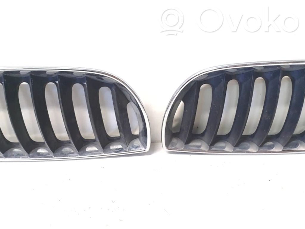 BMW X3 E83 Grotelės dangčio plokštumoje 
