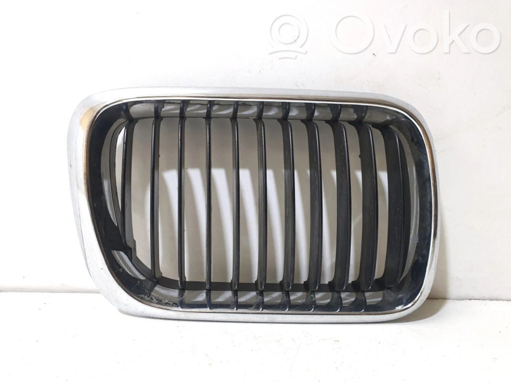 Grille calandre de capot