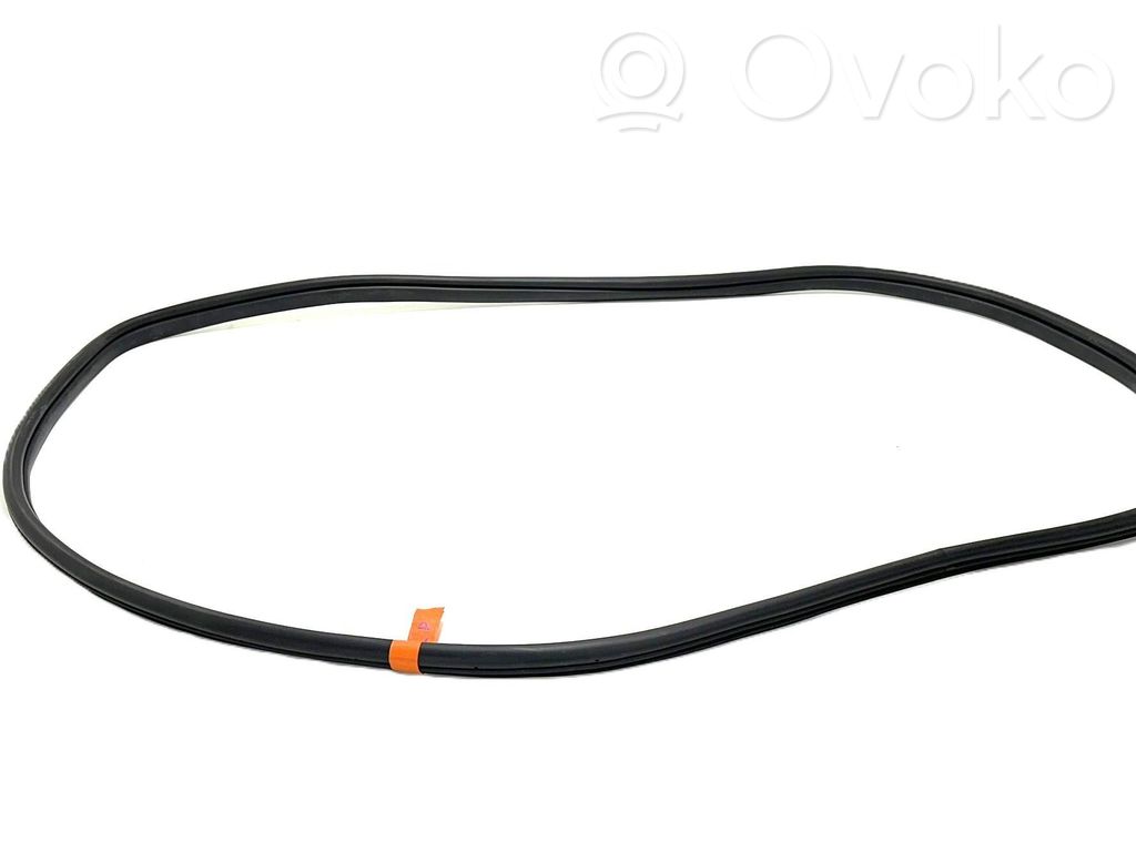 Hyundai Ioniq 5 Front door rubber seal 