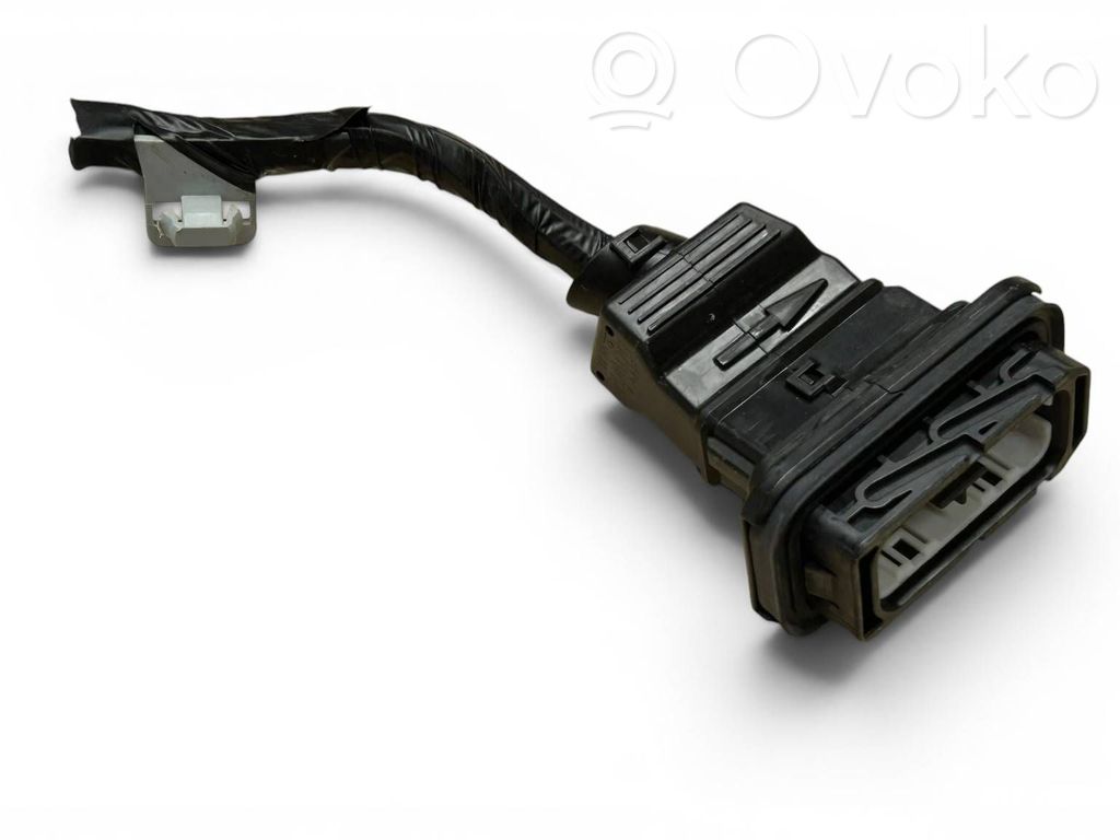KIA EV6 Rear door wiring loom 