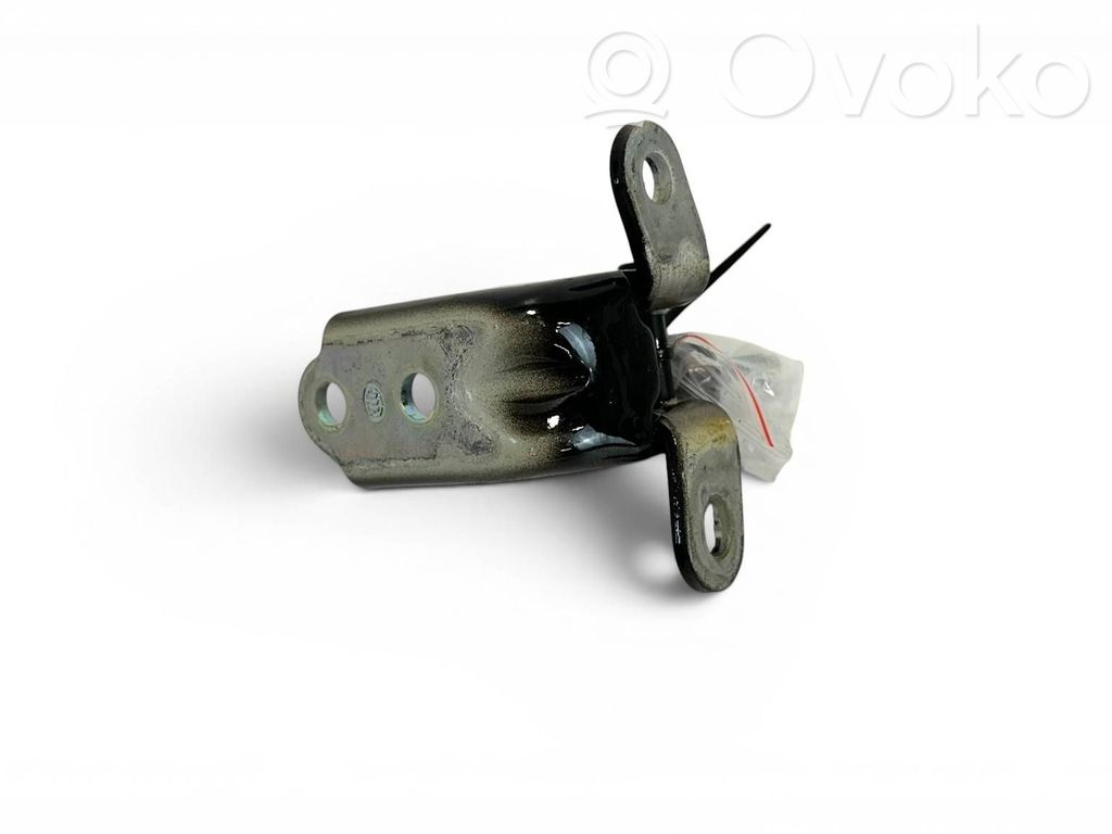 KIA EV6 Rear door lower hinge 