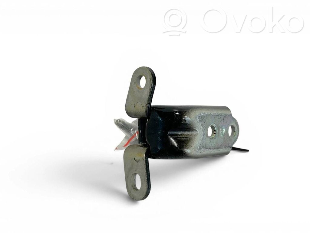 KIA EV6 Rear door lower hinge 