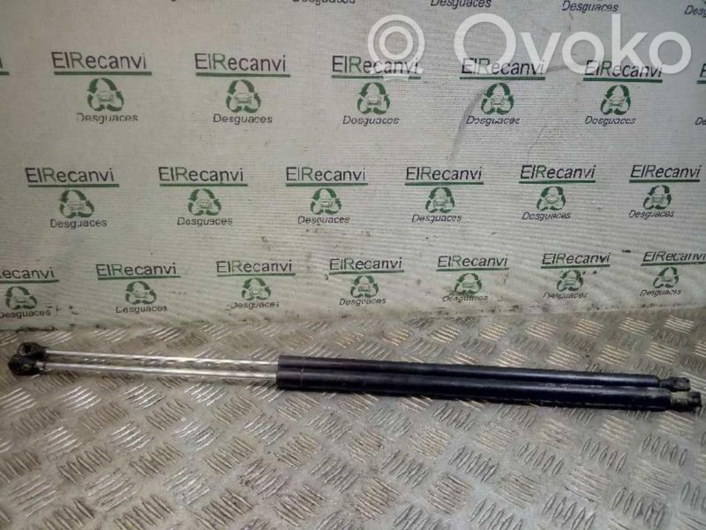 Citroen Berlingo Amortizor hayon 