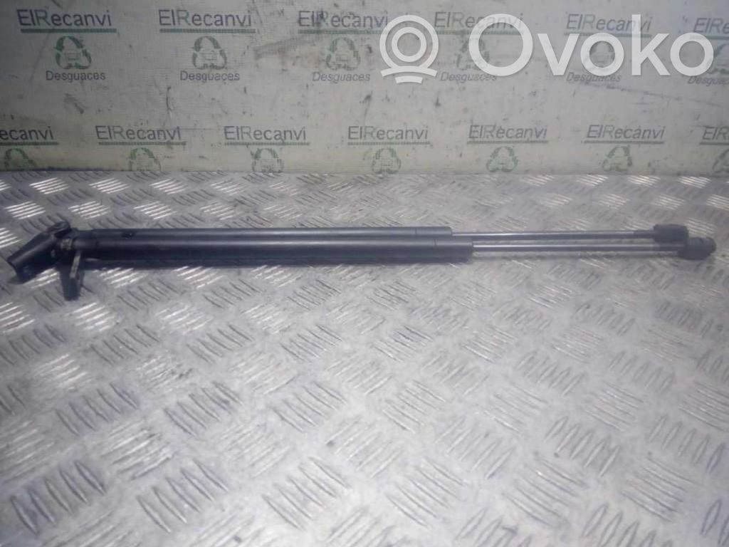 Tailgate/trunk strut/damper