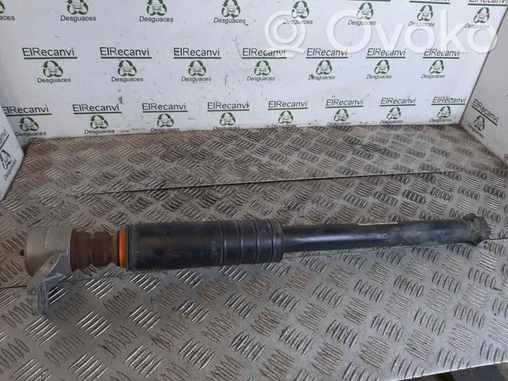 Stoßdämpfer hinten   13432671