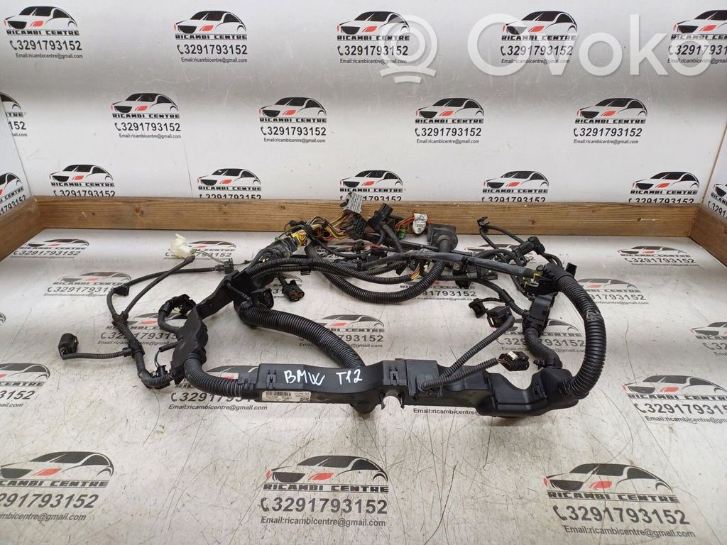 BMW X6 E71 Engine installation wiring loom 
