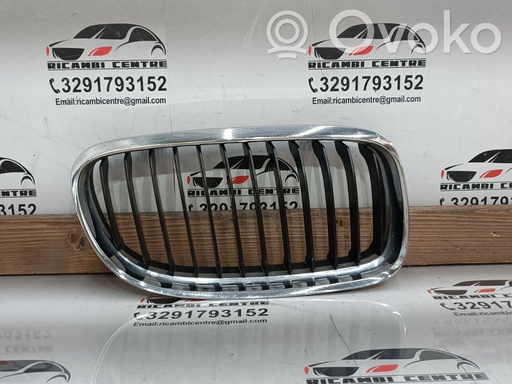 Front grill   51137201968,51137120008,7120008,7201968