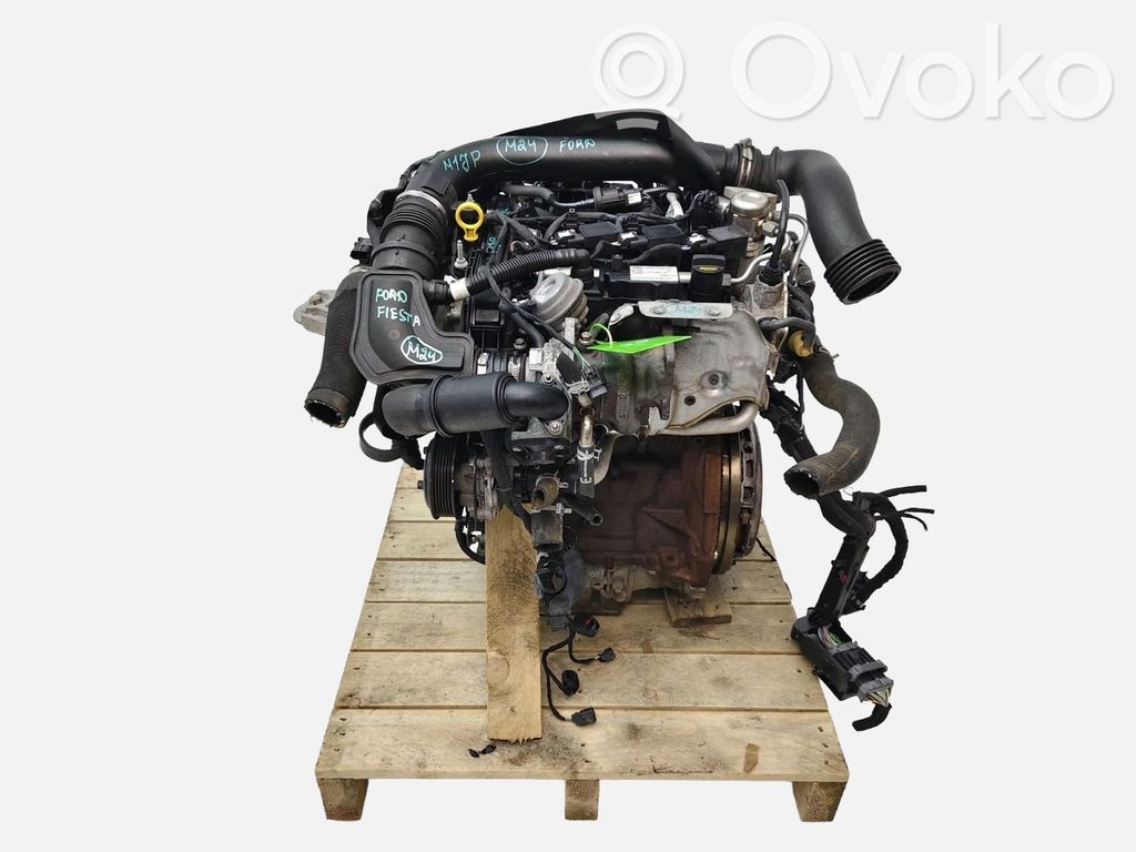 Motor   M1JP,125CV