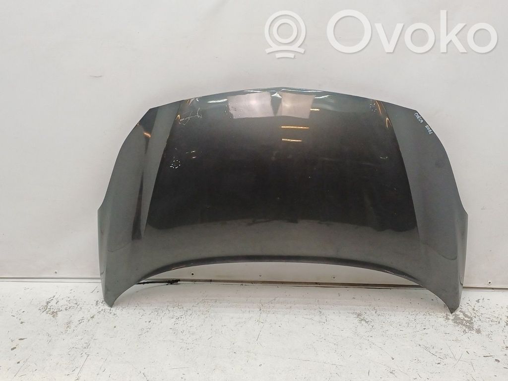 Dzinēja pārsegs (vāks)   39035277