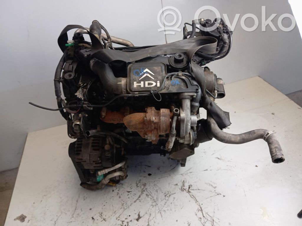 Variklis   10FD46