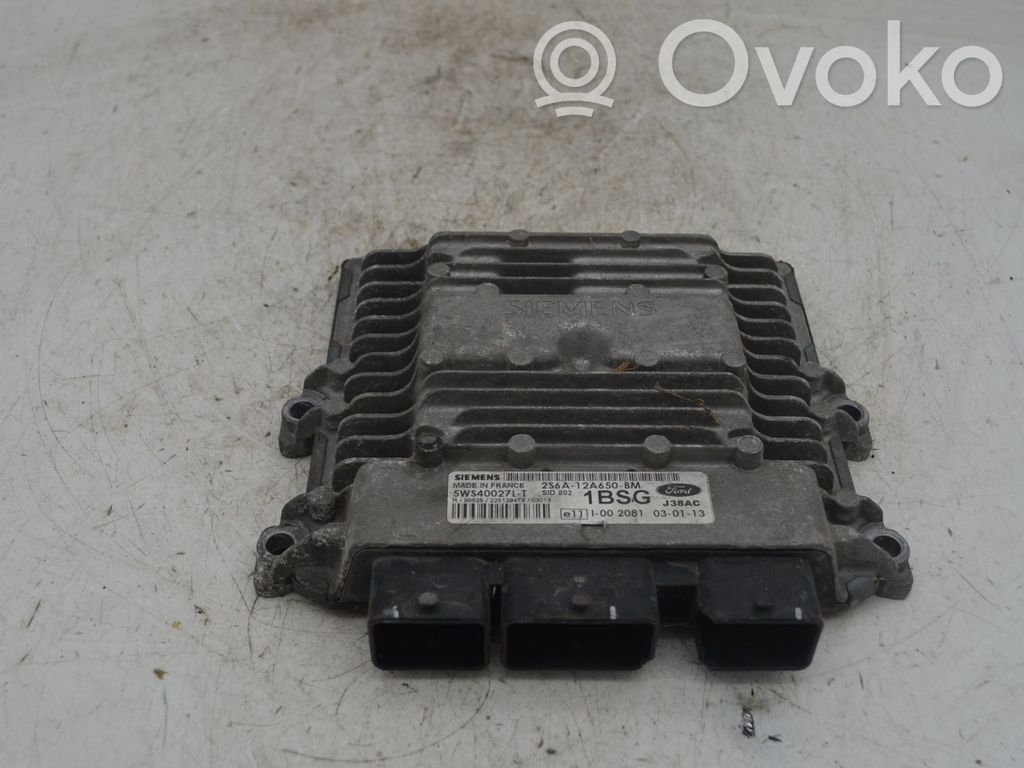 Ford Fiesta Engine control unit/module 