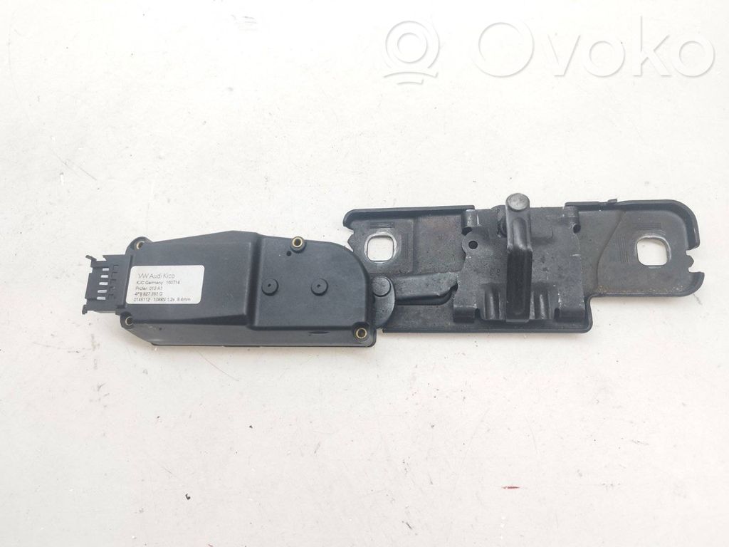 Audi Q7 4L Amortyzator / Siłownik tylnej klapy bagażnika 