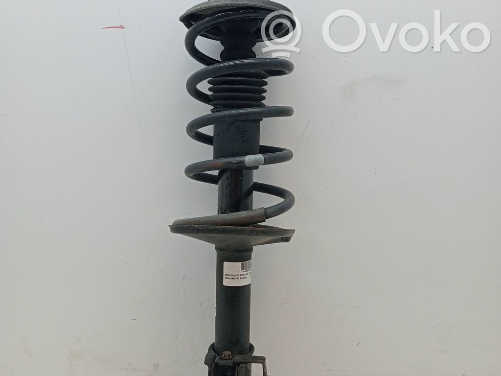 Stoßdämpfer vorne   543020103R