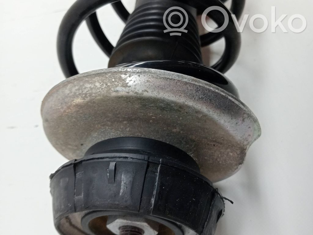 Amortiguador delantero   543029110R