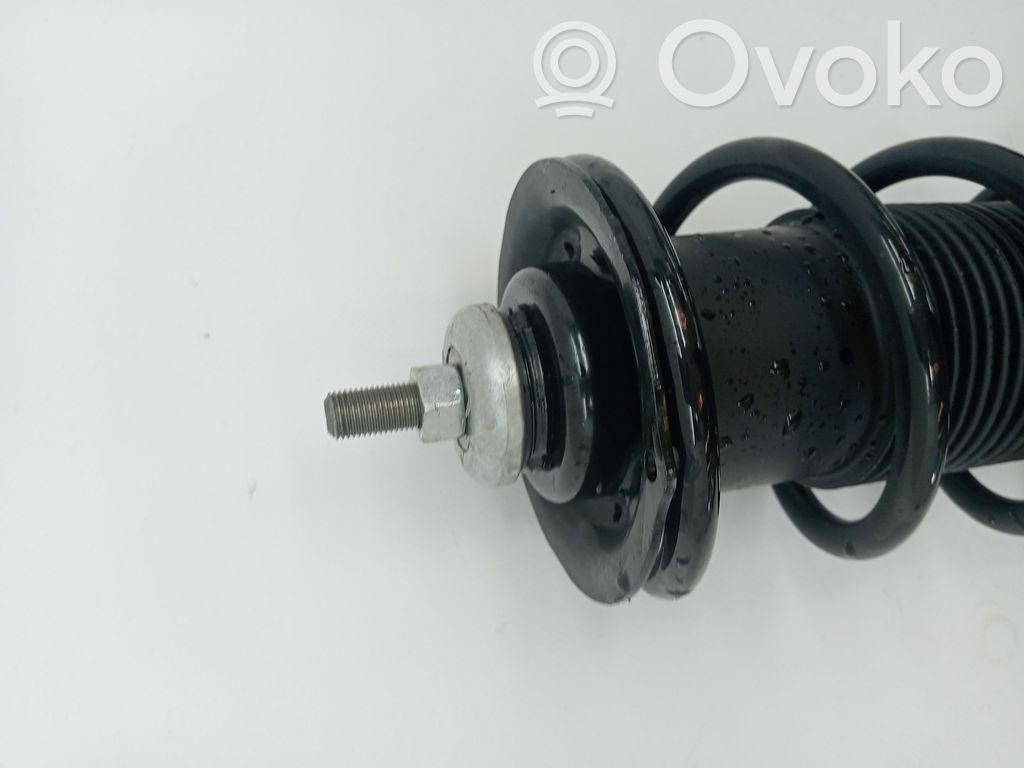 Amortiguador delantero   543029U000