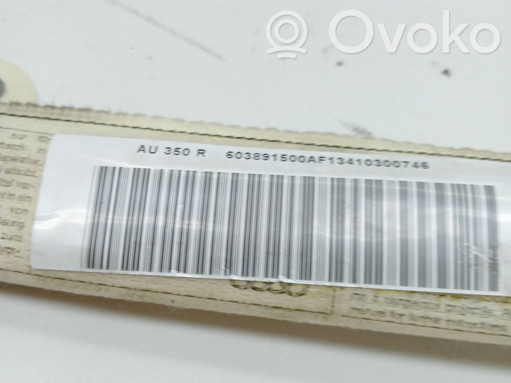 Airbag del techo   8P3880742