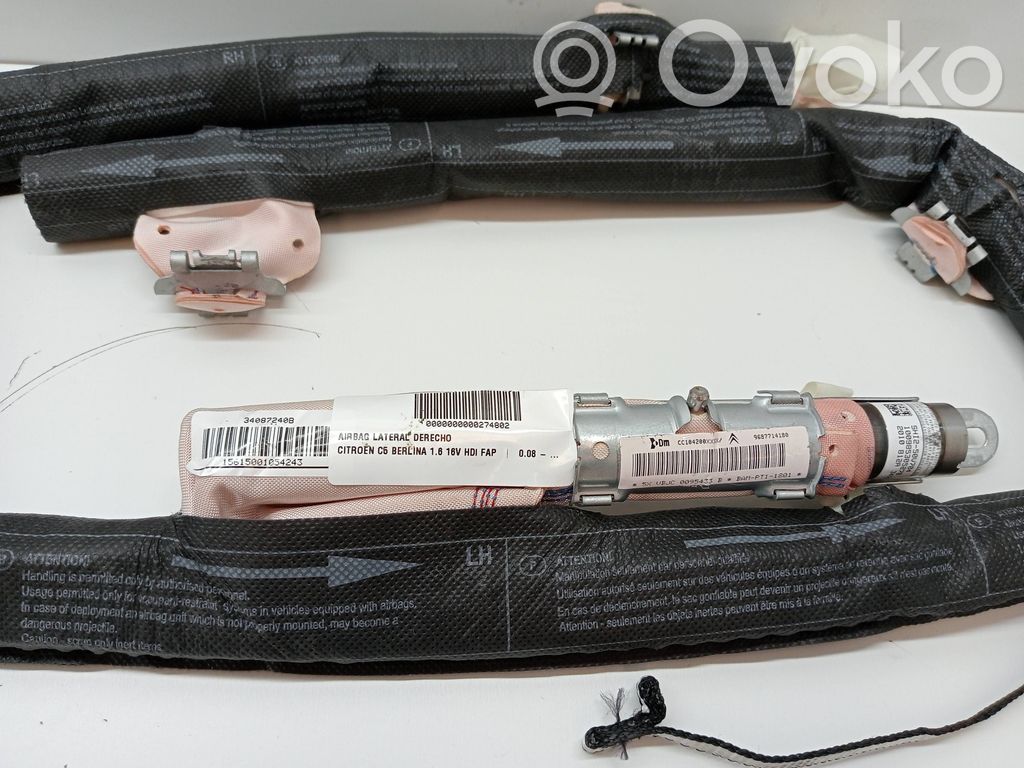 Citroen C5 Airbag de la puerta delantera 