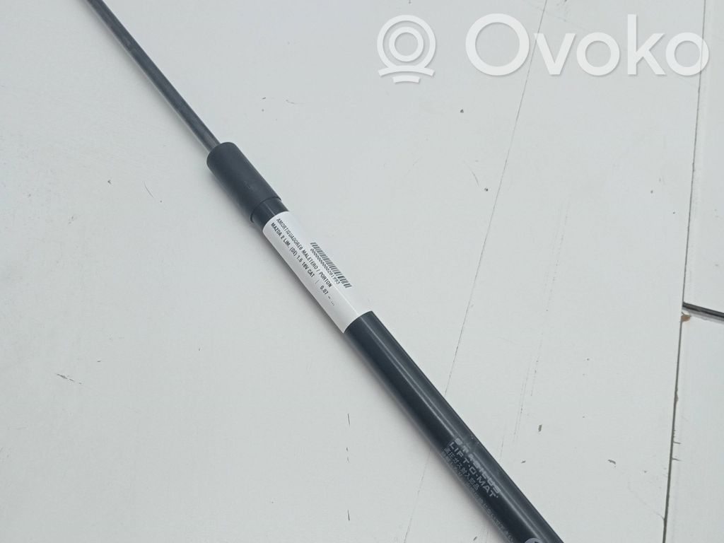 Amortiguador del maletero/compartimento de carga   D65162620A