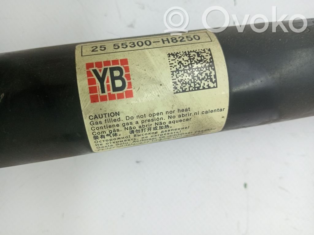 Takaiskunvaimennin   55310H8250