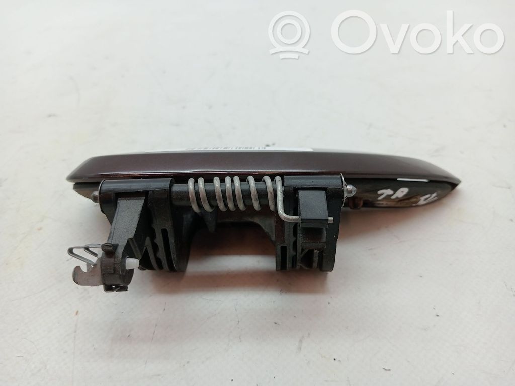 Manecilla externa puerta trasera   806072631R