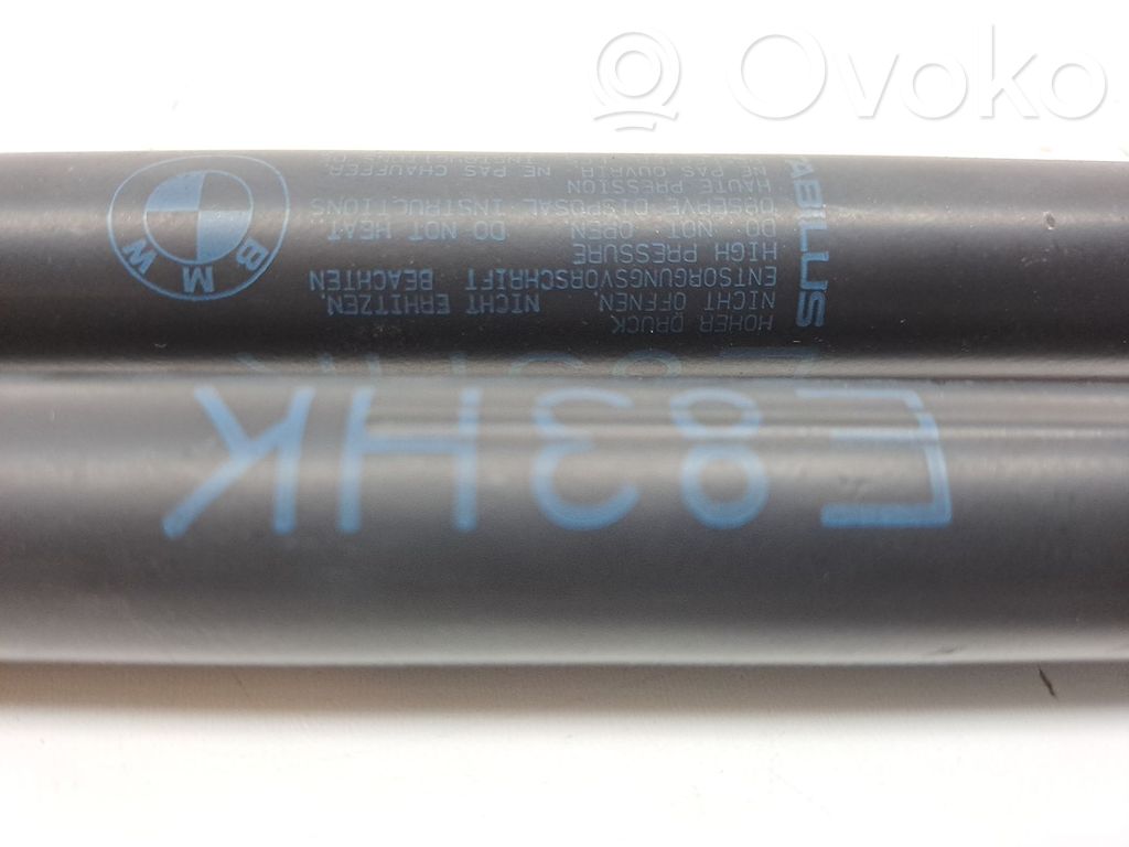 BMW X3 E83 Tailgate/trunk/boot lid buffer 