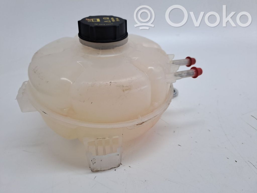 Depósito del refrigerante   2455853,LX618A080JC