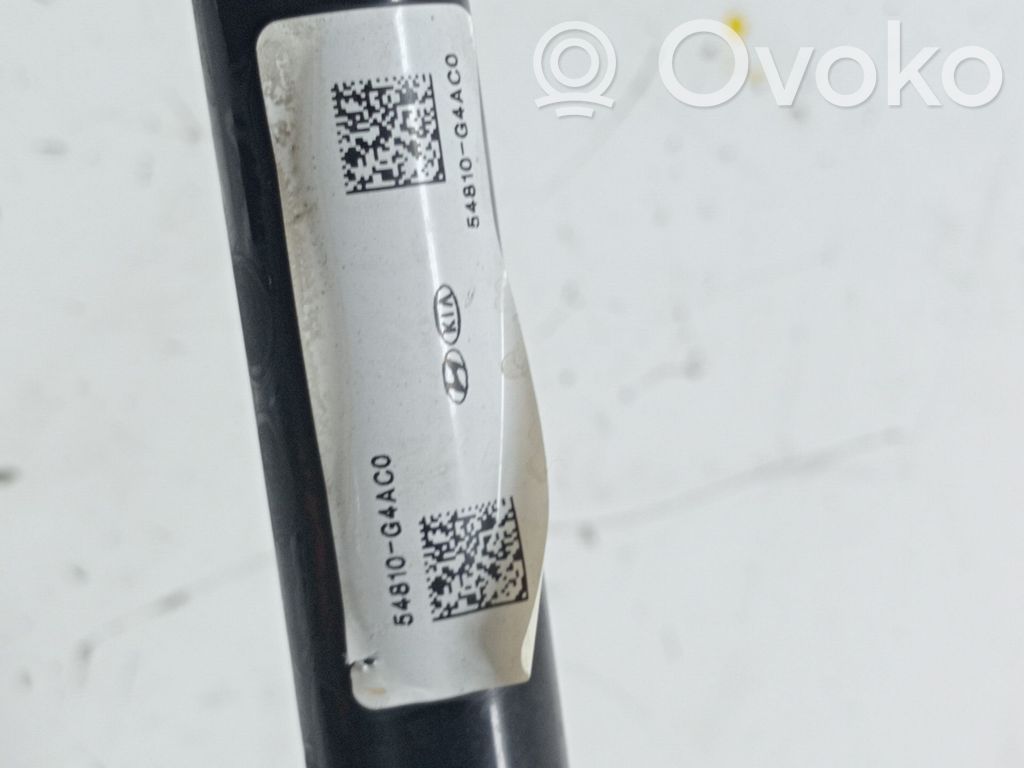 Stabilisator vorne   54810G4AC0