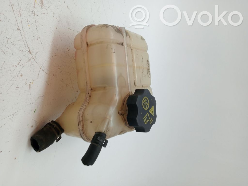 Opel Insignia A Vas expansiune/rezervor lichid de răcire 