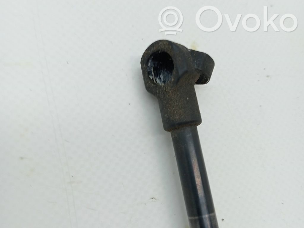 Fiat 500 Tailgate/trunk/boot lid buffer 