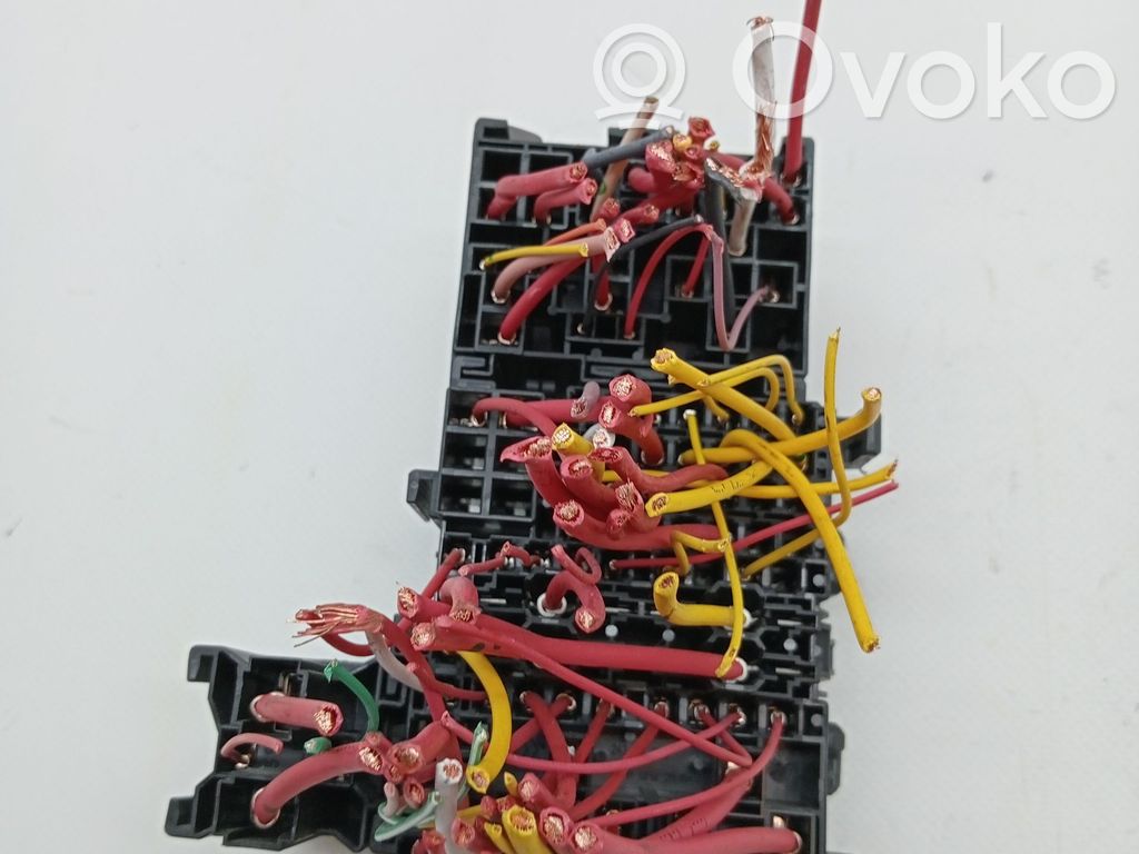 Module de fusibles   255502585R