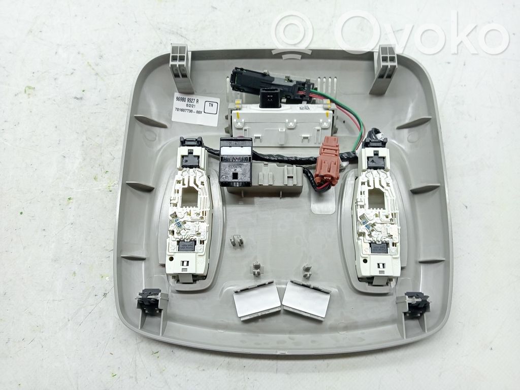 Renault Kadjar Consola de luz del techo 
