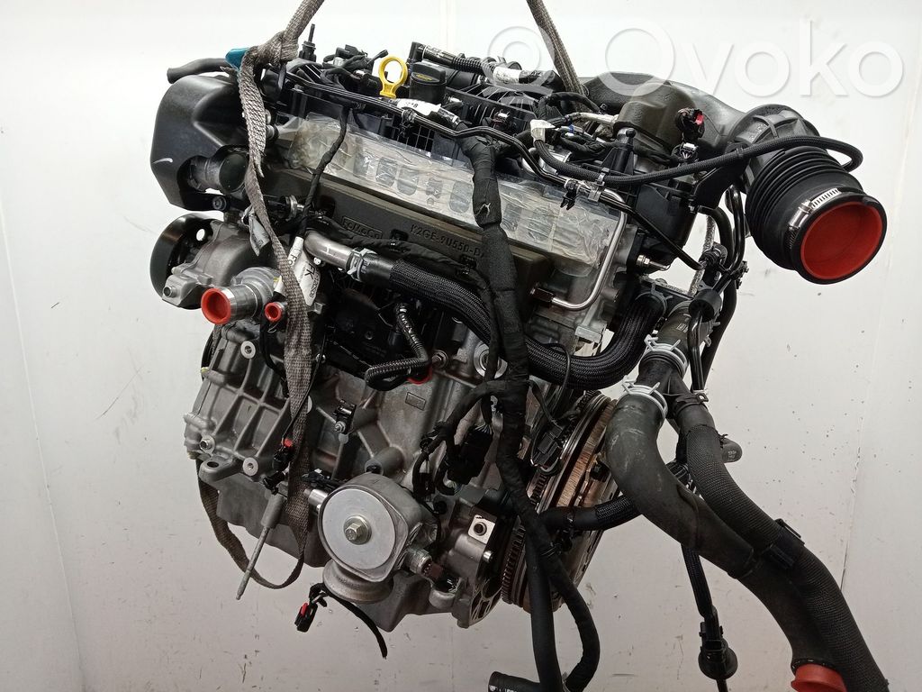 Ford Focus Dzinēja komplekts 