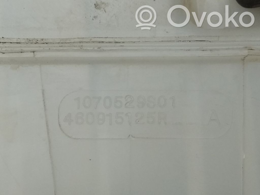 Servo-frein   460915125RA,1070529S01