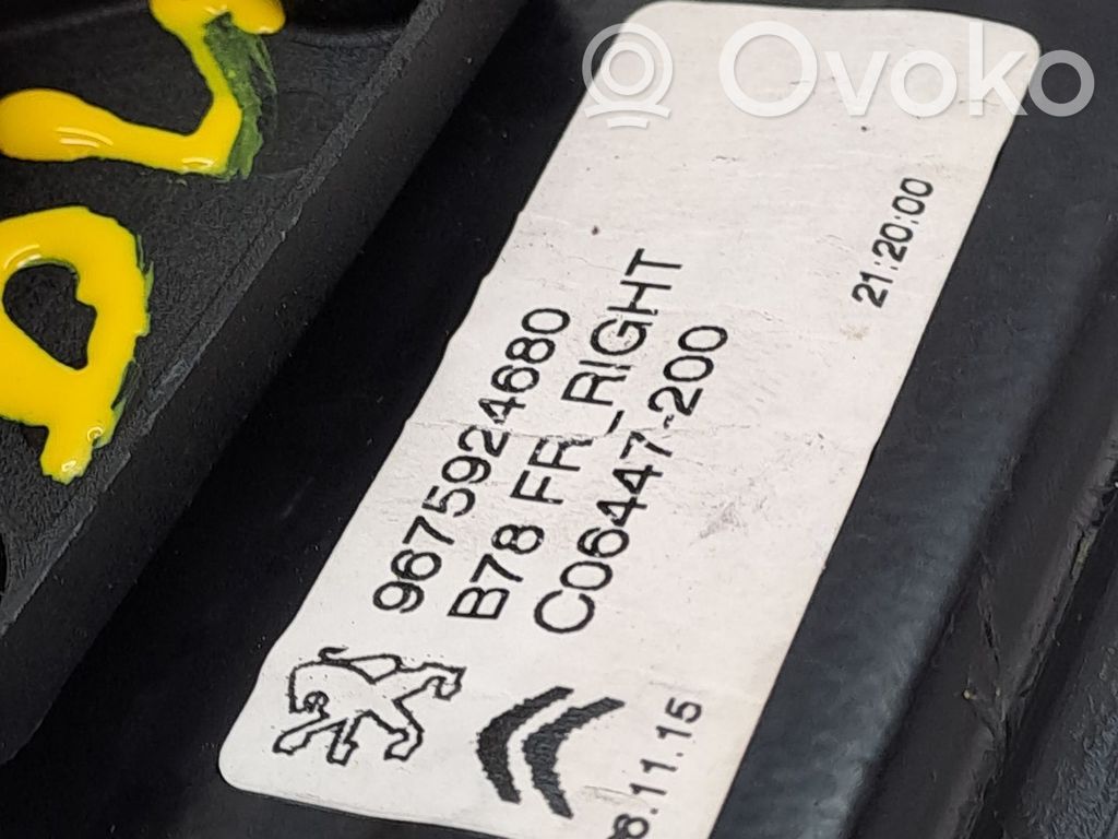 Regulador de ventanilla eléctrico de puerta delantera   9675924680