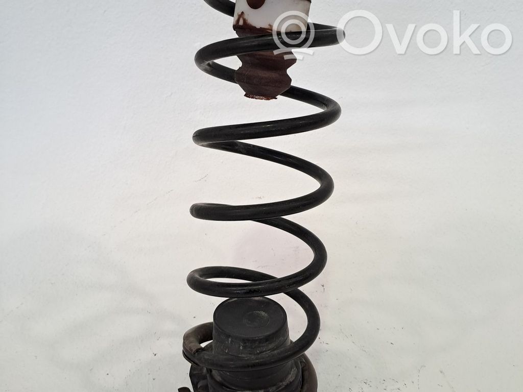 Front coil spring   5102Y9